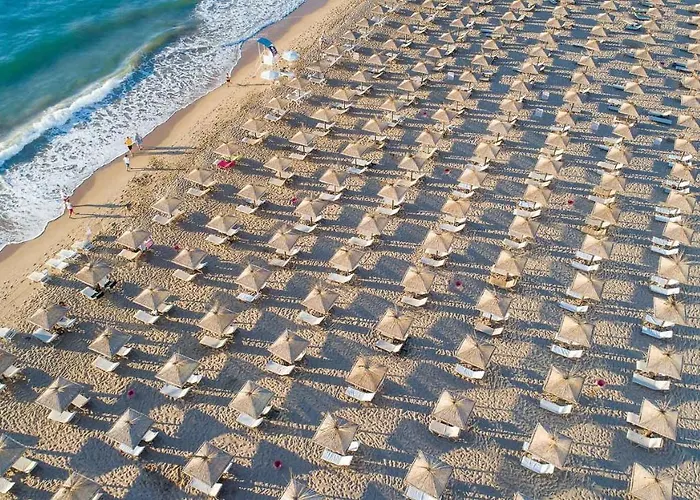 Grifid Arabella ホテル 4*