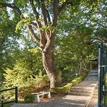 Grifid Arabella Golden Sands